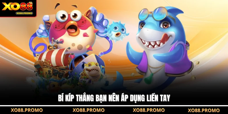 Bí kíp thắng bạn nên áp dụng liền tay