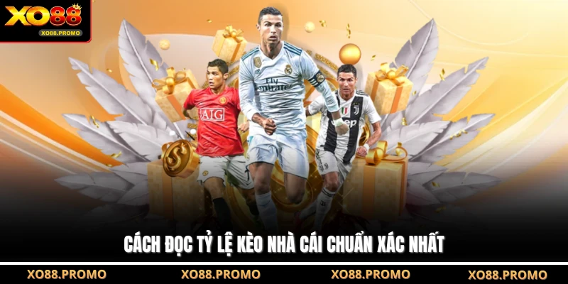 Cách đọc tỷ lệ kèo nhà cái chuẩn xác nhất