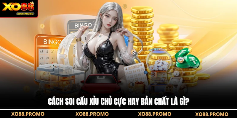 Cách soi cầu xỉu chủ cực hay bản chất là gì?
