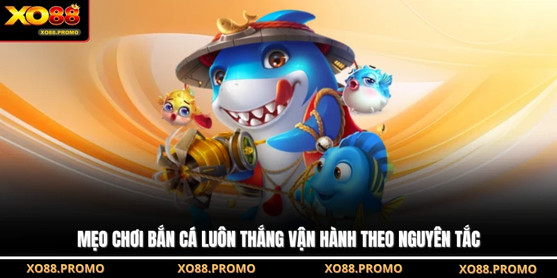 Mẹo chơi bắn cá luôn thắng vận hành theo nguyên tắc