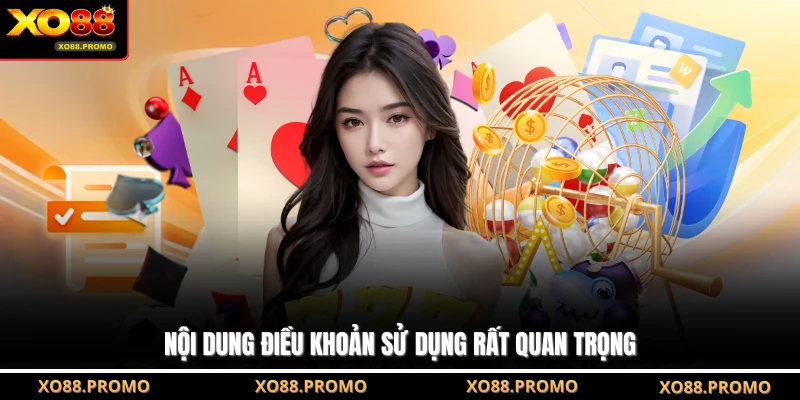 Nội dung điều khoản sử dụng rất quan trọng